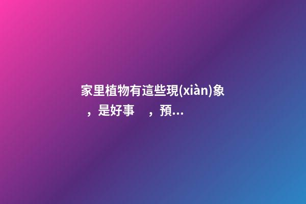 家里植物有這些現(xiàn)象，是好事，預(yù)示你家要發(fā)大財(cái)了！